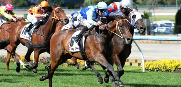 Zephyron - Moonee Valley - 23/11/2013